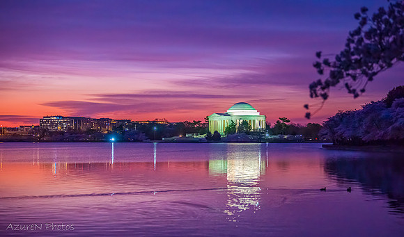 45 - Cherry Blossoms, Washington, DC