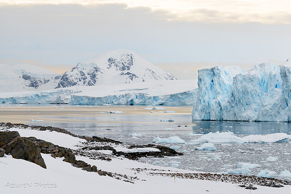 8 - Antarctica