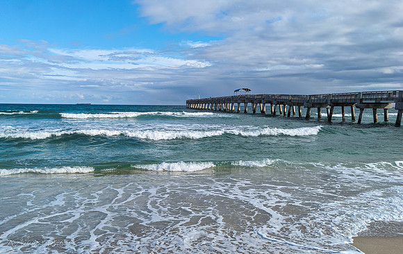 44 - Palm Beach, FL
